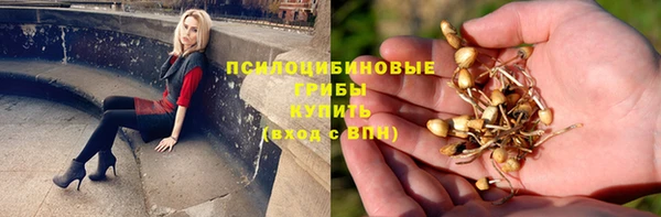 apvp Абдулино